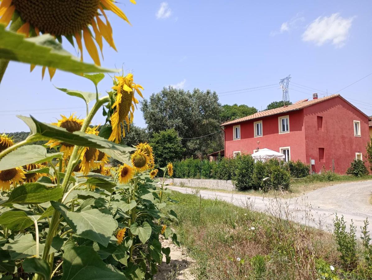 مبيت وإفطار Coiano La Casa Rossa المظهر الخارجي الصورة